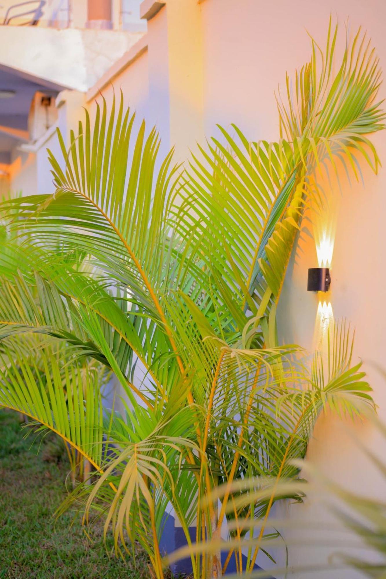 Hotel Owandja House Lubumbashi Zewnętrze zdjęcie